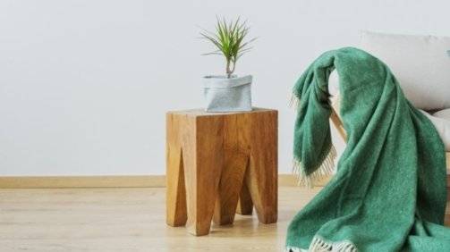 demo-attachment-139-green-accents-in-the-interior-PAR9K65